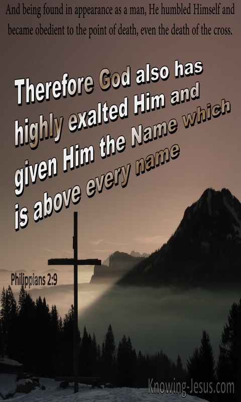 Philippians 2:9 God Highly Exaulted Him With The Name Above Every Name (brown)